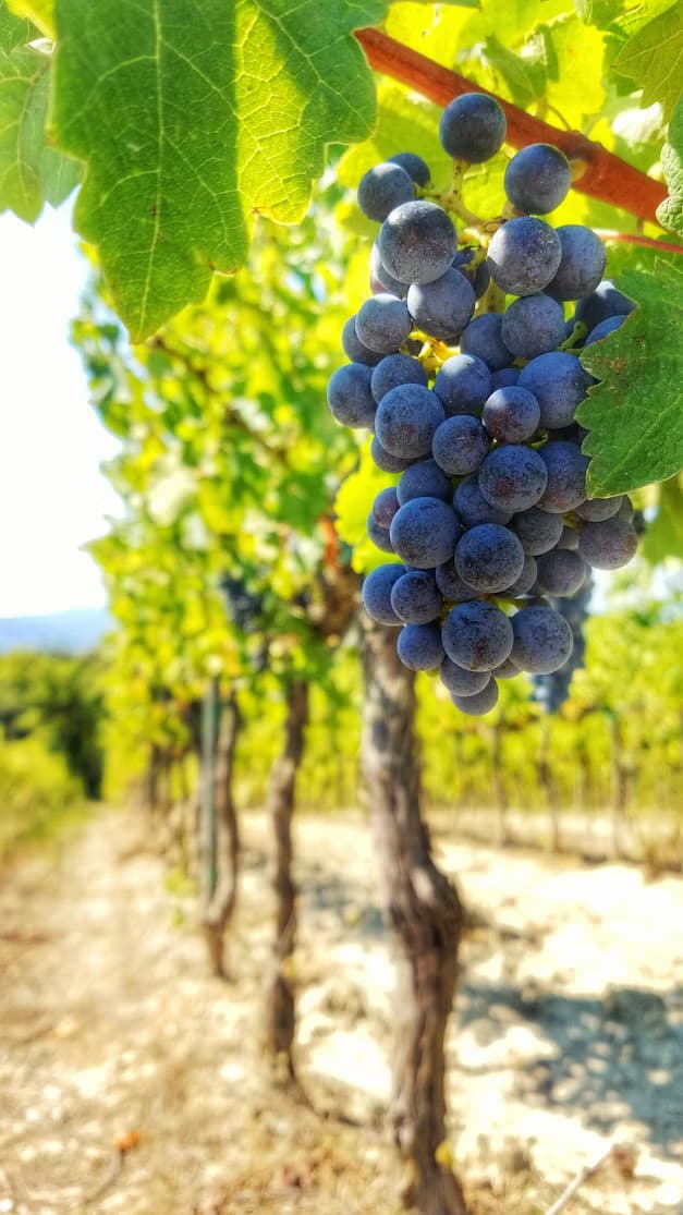 Séminaire en Bourgogne