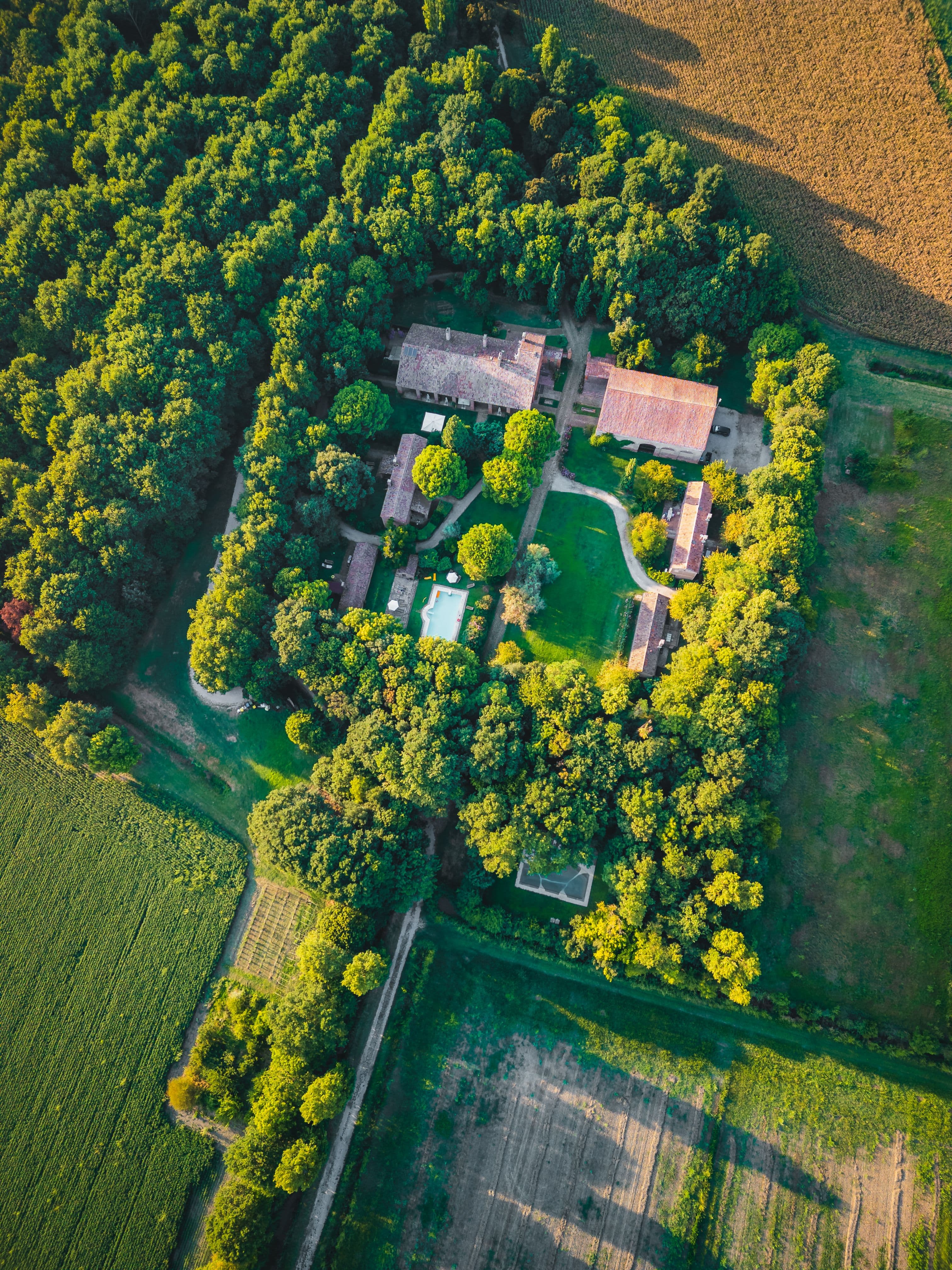 Lodge en bois au cœur de la forêt pour séminaire en pleine nature