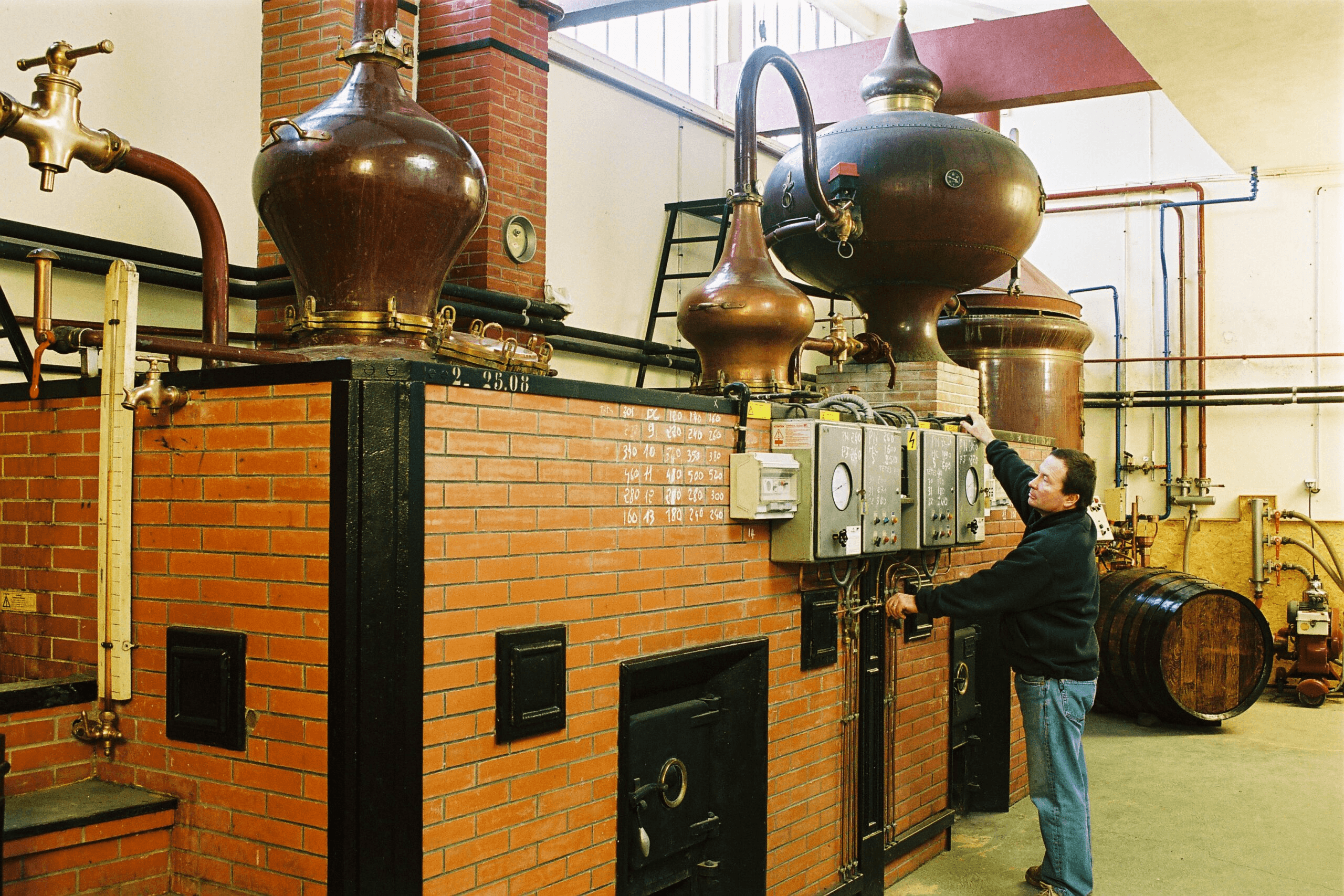 TerraGo - Jean-François - Cognac