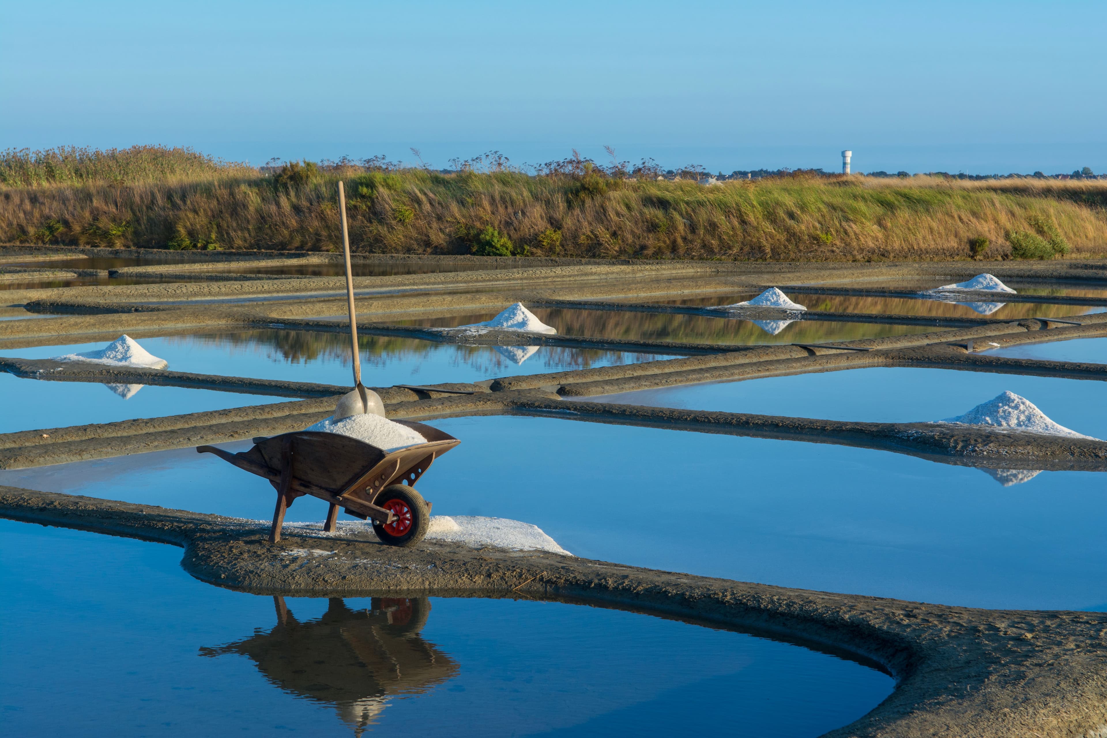 Marais salants en Pays de la Loire – séminaire TerraGo