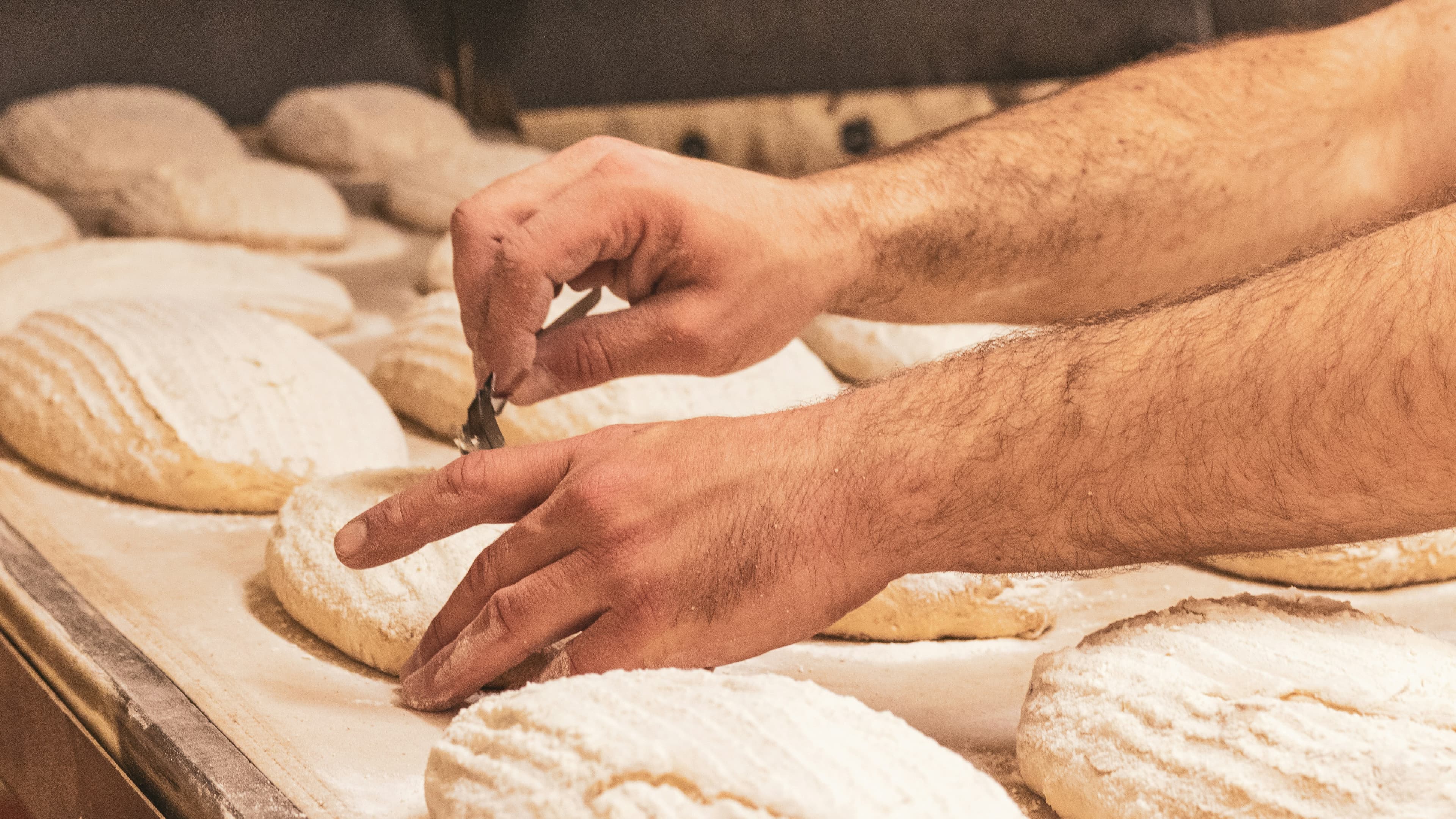 Atelier fromage – TerraGo