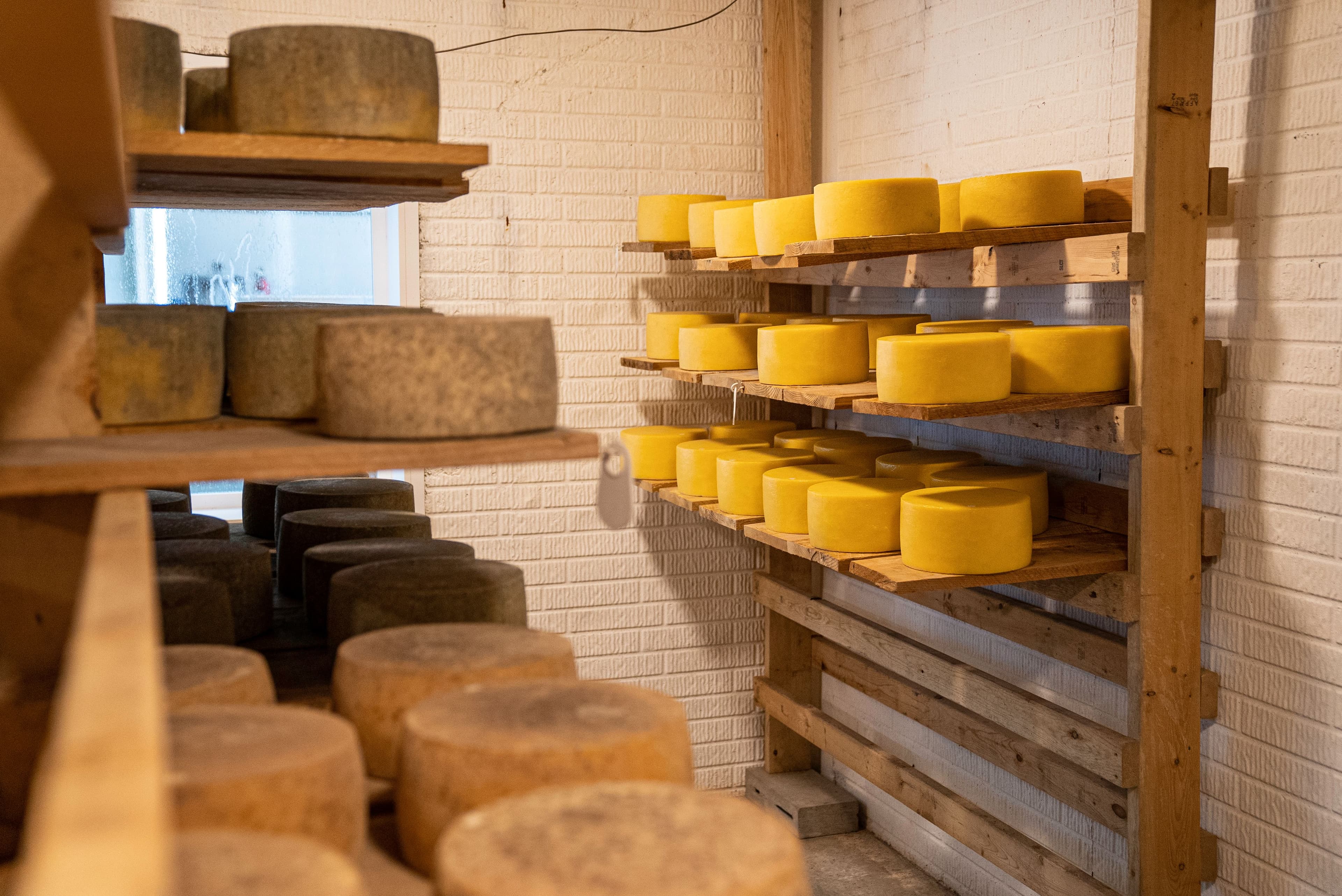 Cave d’affinage de fromages en Auvergne – TerraGo