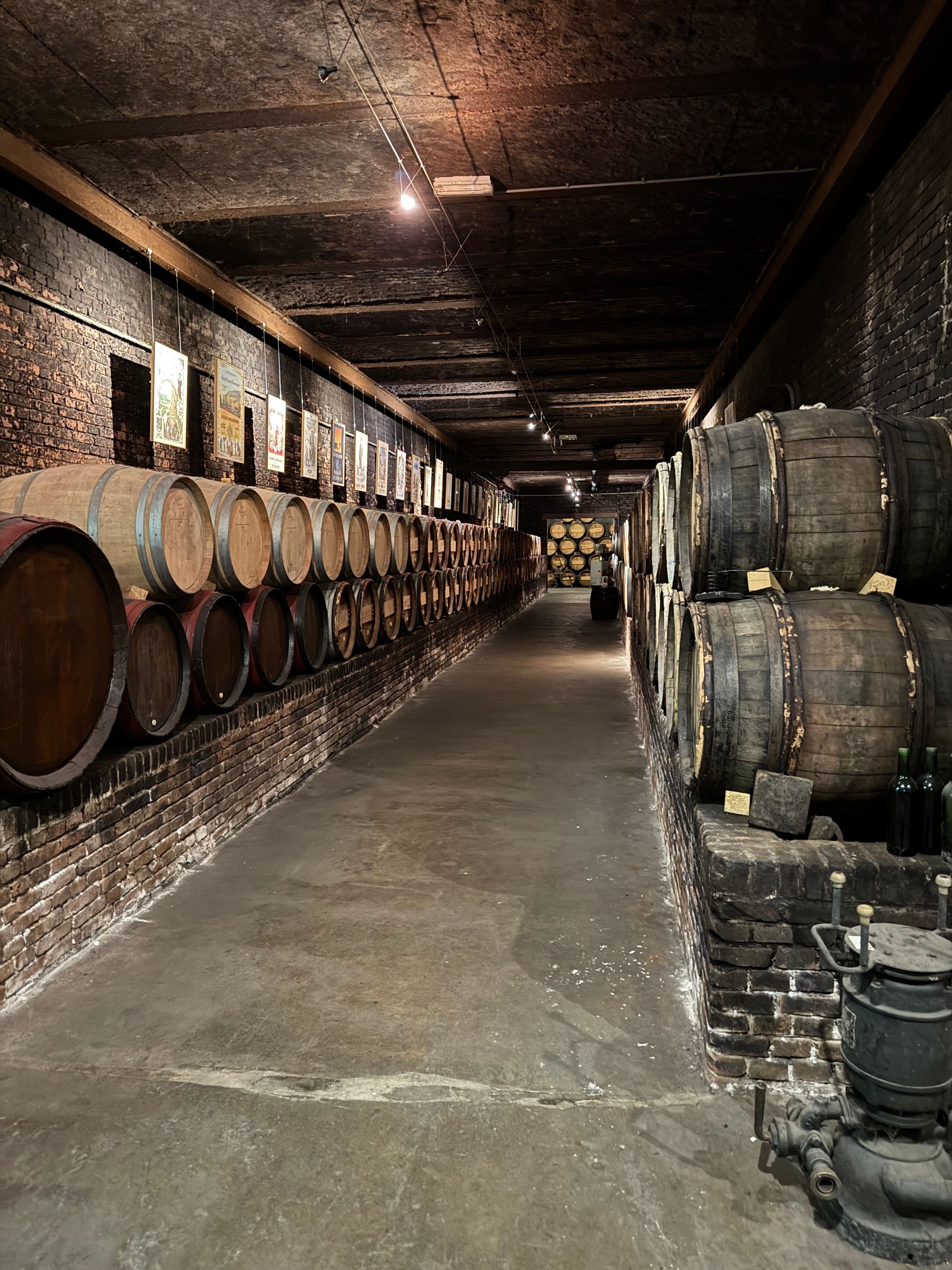 Cave à vin avec fûts de chêne en Bourgogne