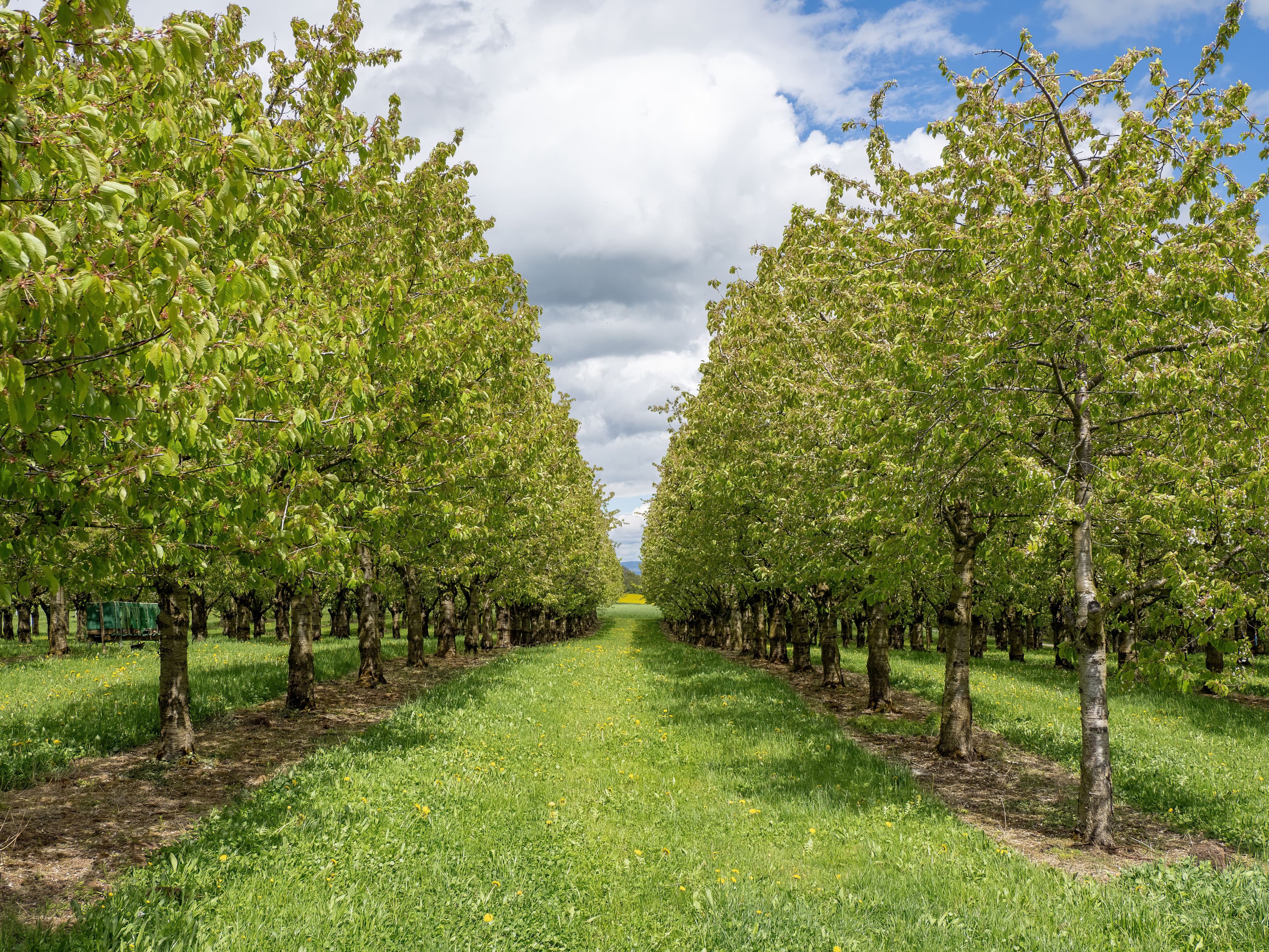 Domaine en pierre et brique pour séminaire en Île-de-France