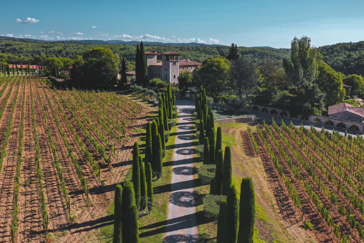 Allée de cyprès menant à un domaine viticole