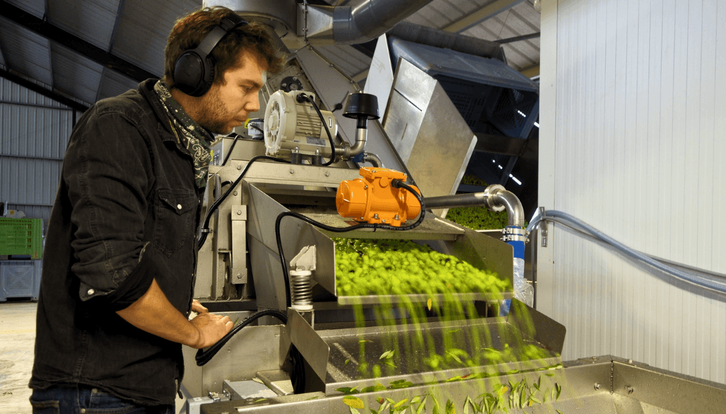Paolo, producteur d’olives en Provence – TerraGo