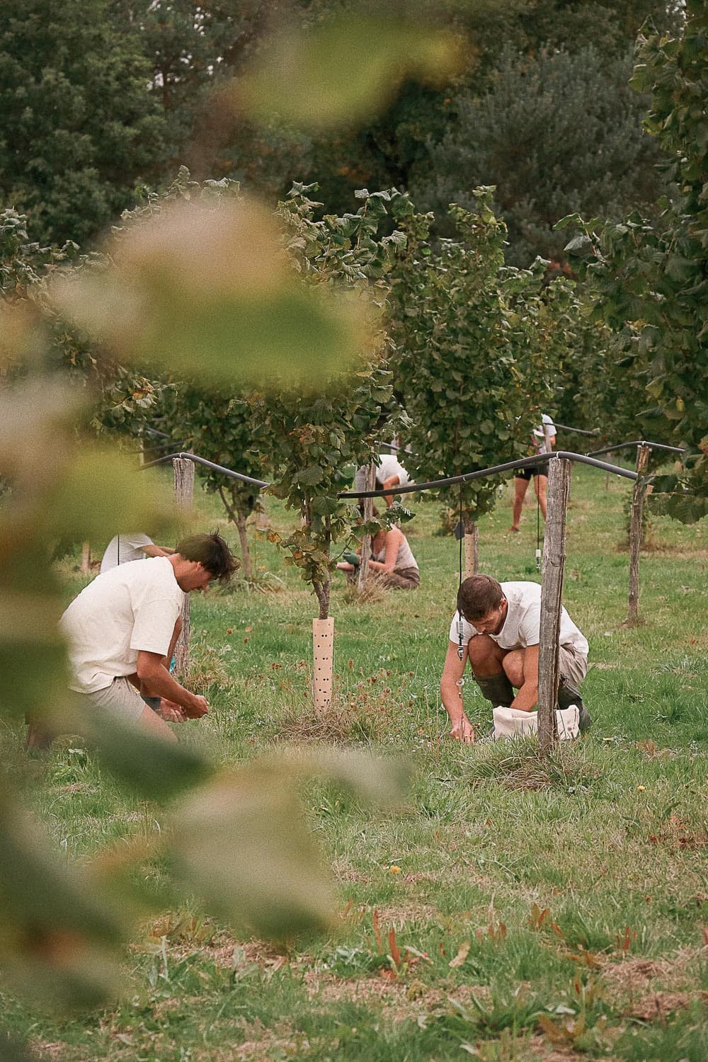 Team building terroir : 8 idées originales pour souder vos équipes