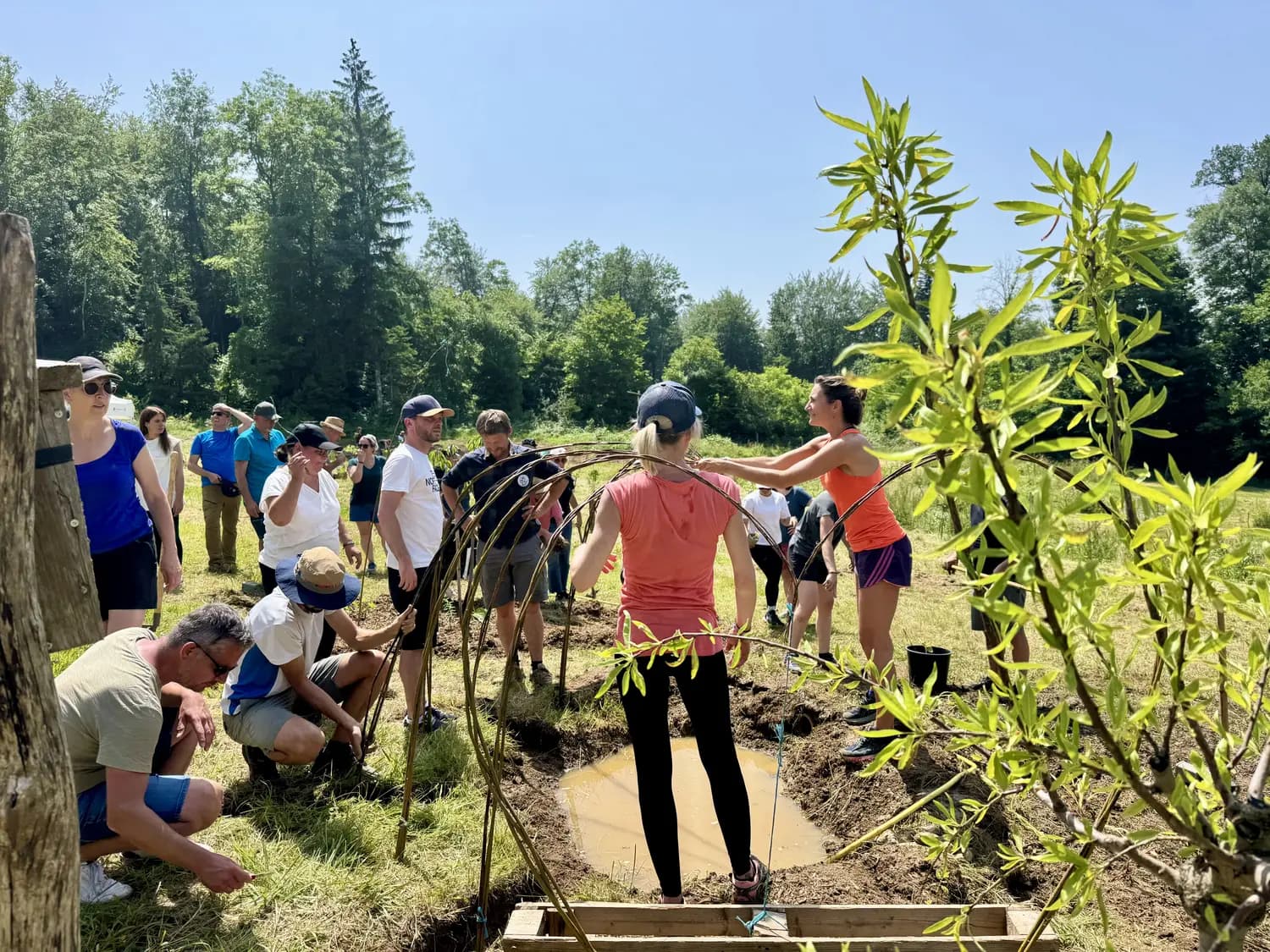 Séminaire au vert